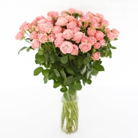 Разноцветные кустовые розы